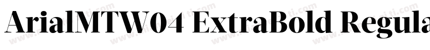 ArialMTW04 ExtraBold Regular字体转换